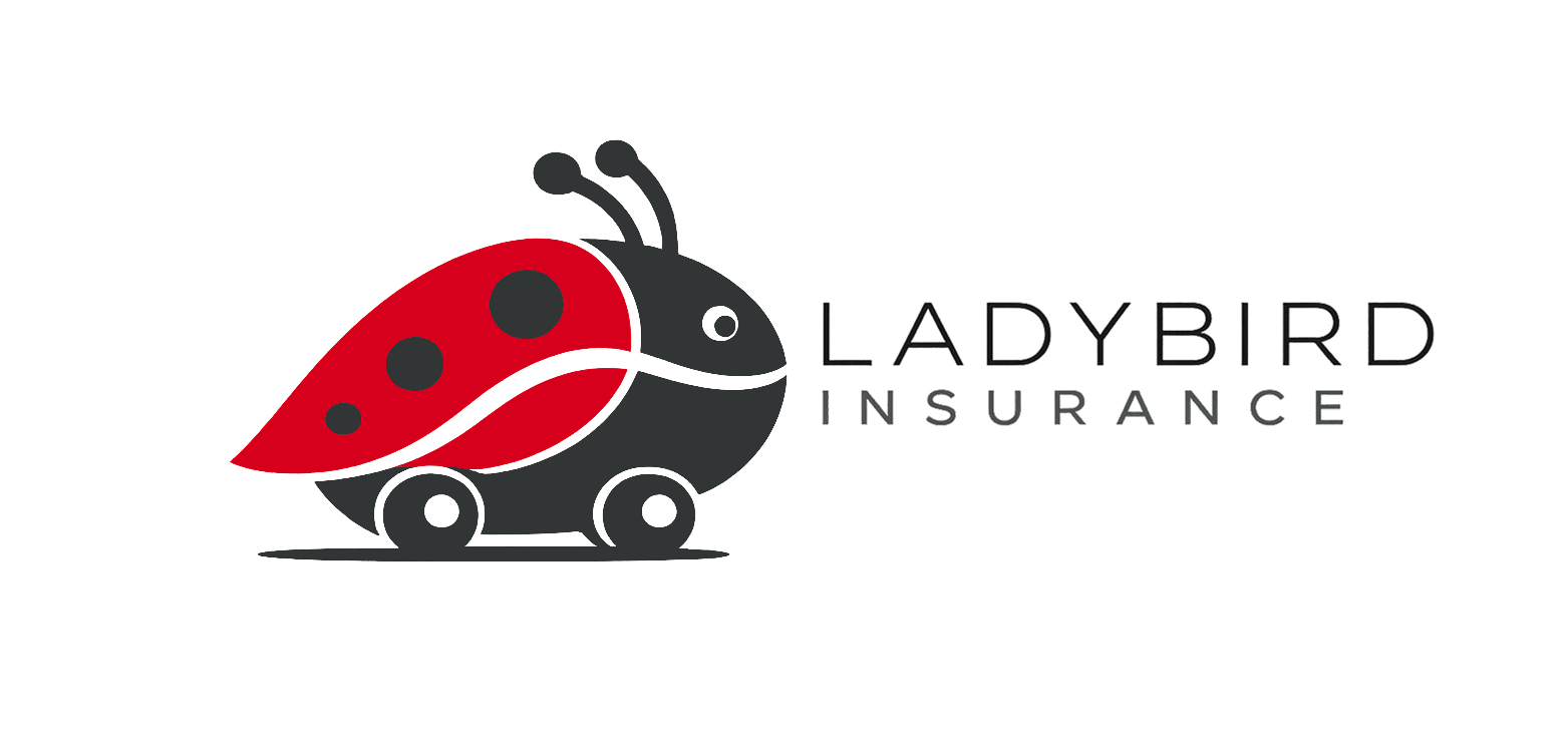 Ladybird Specialist Car Insurance